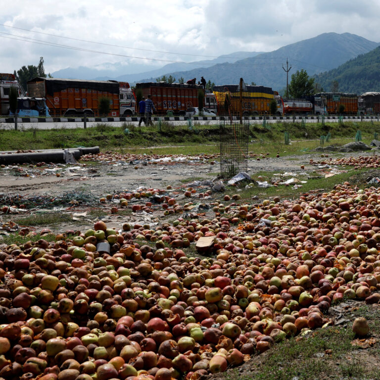 Kashmir’s Apple Harvest Rots After Landslide Blocks Road