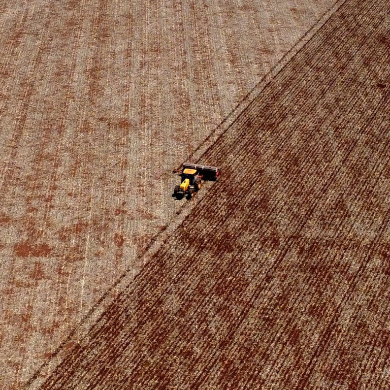 Trump’s Tariff Fight With China Means Trouble for a Vast Wilderness in Brazil