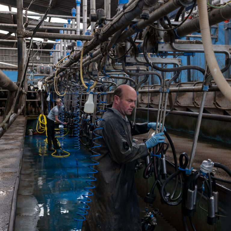 Irish Factory Prospered Because of China’s Babies. Then Nestlé Pulled the Plug.