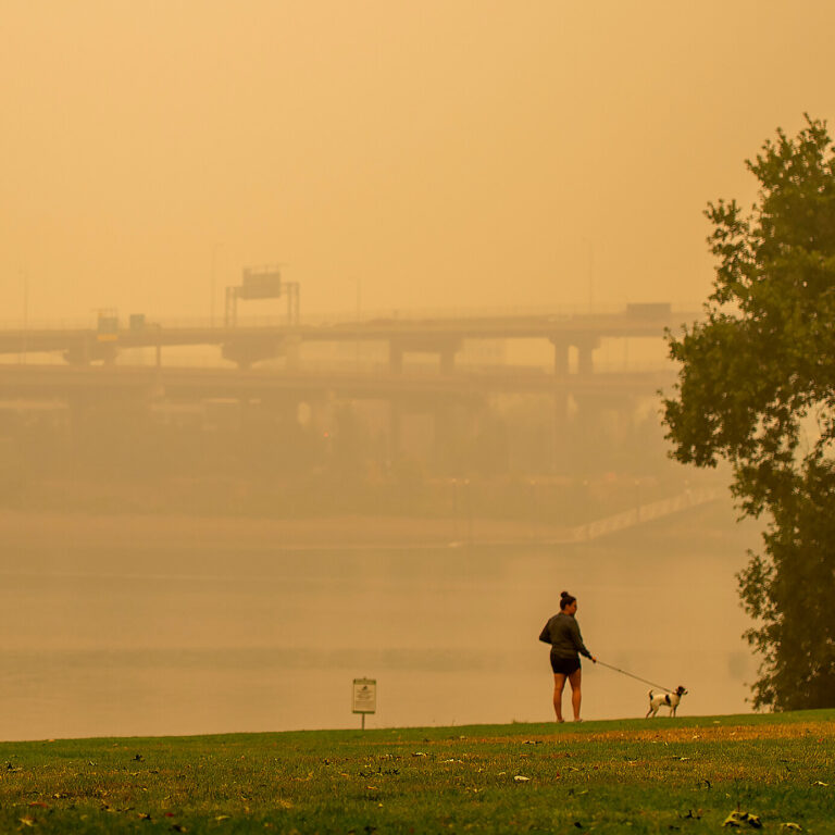 How to Protect Your Pets From Pollution