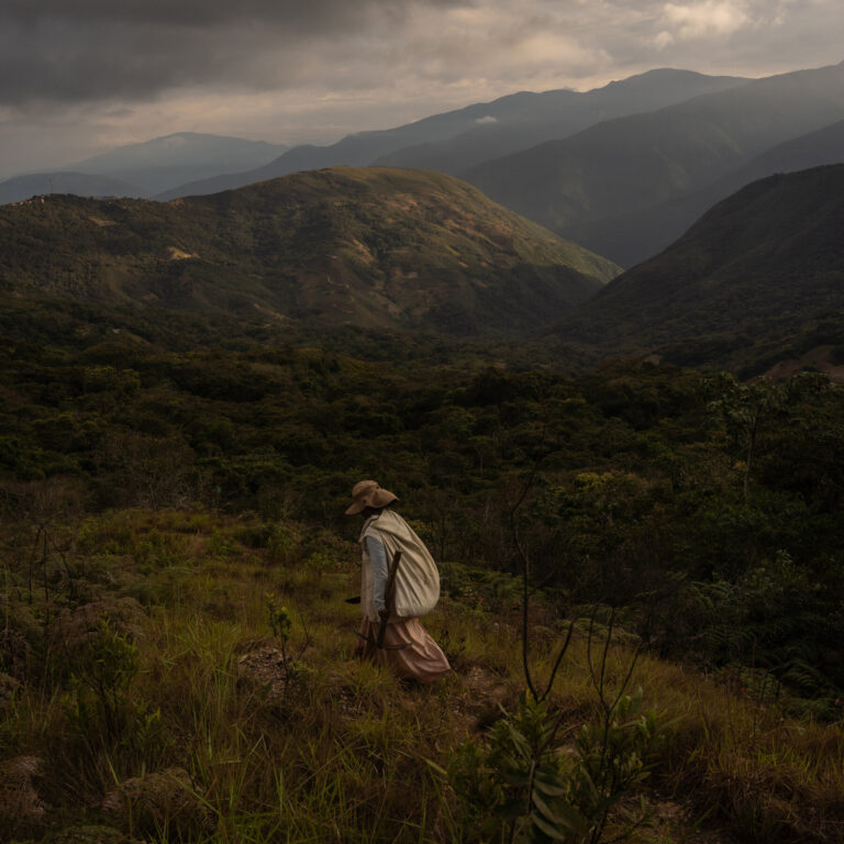 Bolivia Pushes to Reclaim the Coca Leaf From the Stigma of Cocaine