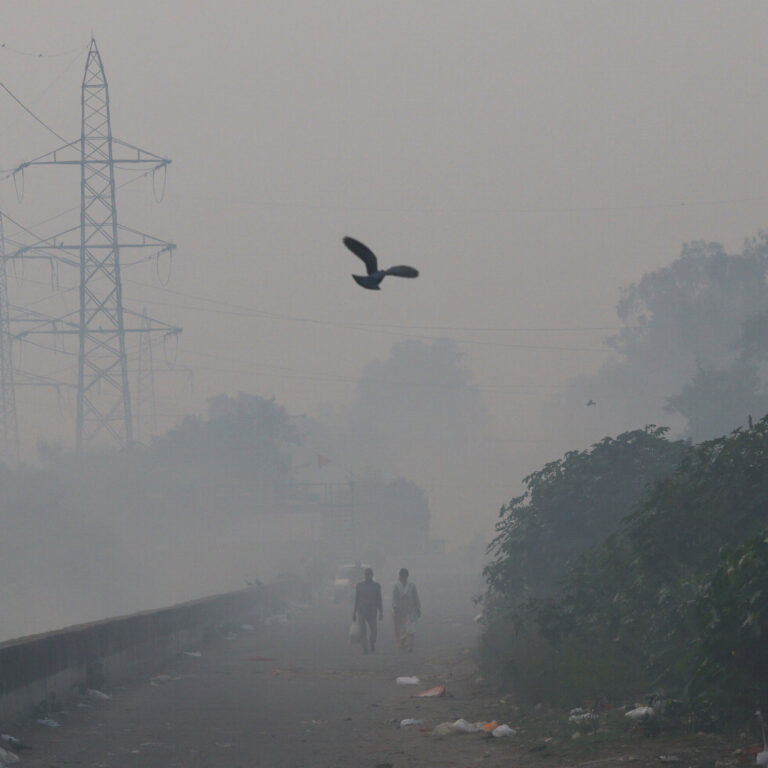 With Diwali Comes the Start of Air Pollution Season in New Delhi