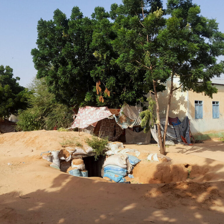 Sudan’s Military Withdraws From El Fasher in Darfur, Handing City to R.S.F.