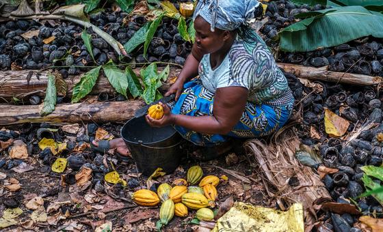 $31 trillion debt is holding back developing countries, UN trade summit hears