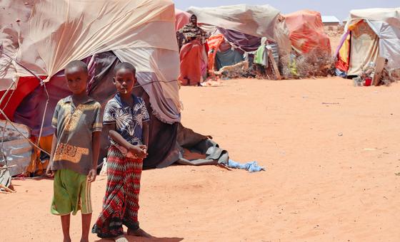 Fewer than one in 10 Somalis to receive life-saving aid in November, warns WFP