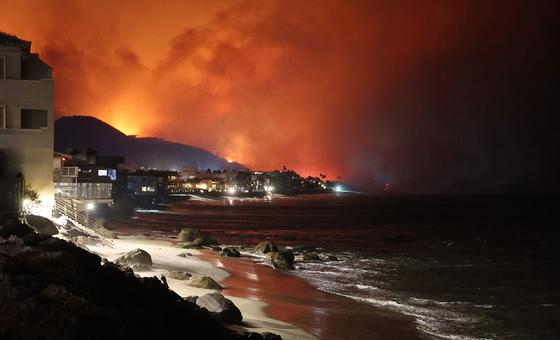 Record rise in carbon dioxide levels during 2024: UN weather agency