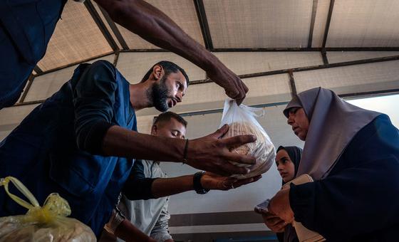 Gaza peace plan ‘at precarious moment’ as killings continue on both sides