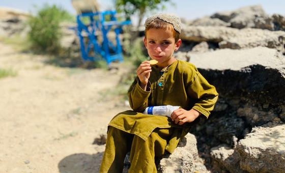 Humanitarian funding cuts pushing millions into hunger: WFP