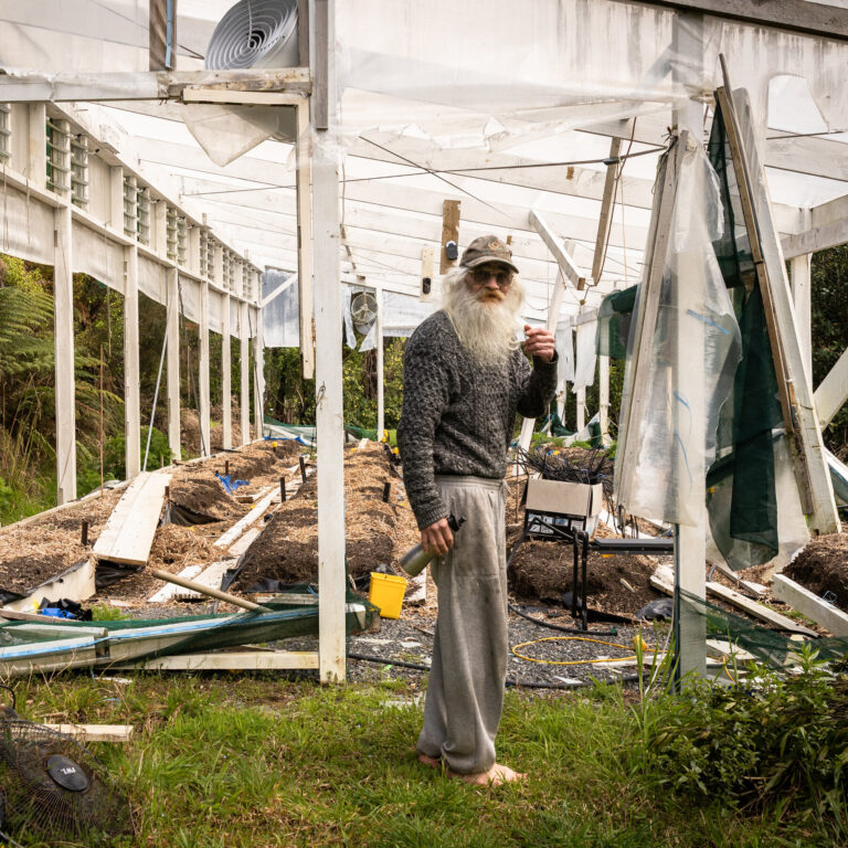 Medical Marijuana Grower in New Zealand Faces Criminal Charges