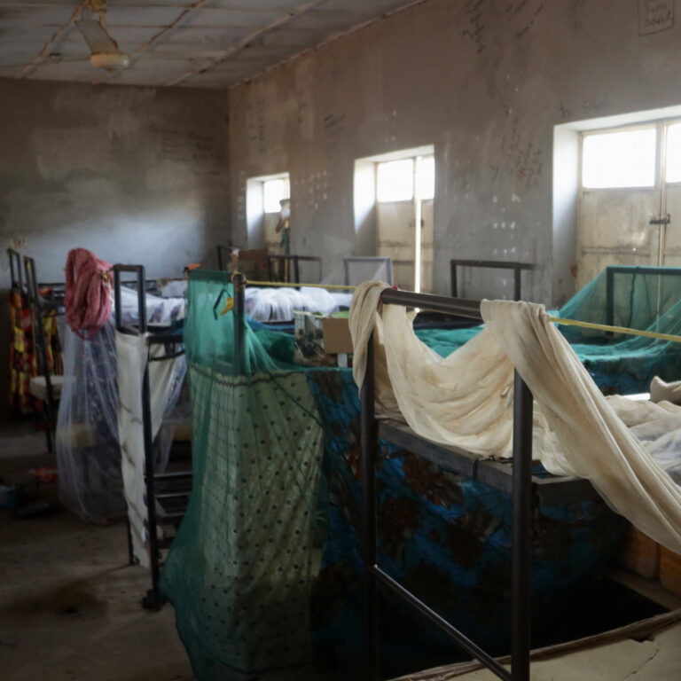 Violence Is Driving Catastrophic Hunger in Nigeria, U.N. Report Says