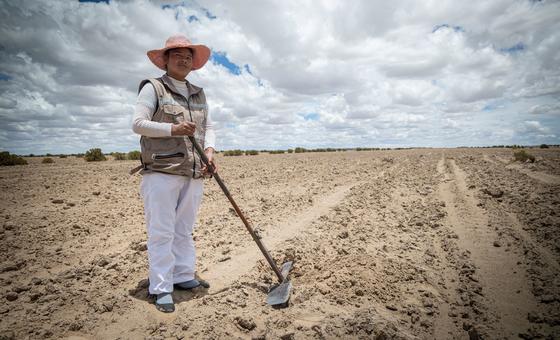FAO warns of ‘silent crisis’ as land degradation threatens billions