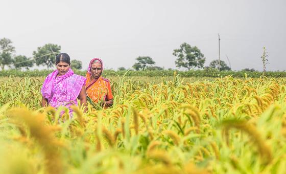 From organic farms to AI chips with a nose: UN summit showcases solutions for transforming the Global South
