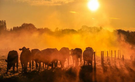 UN chief urges world leaders to drive down global warming
