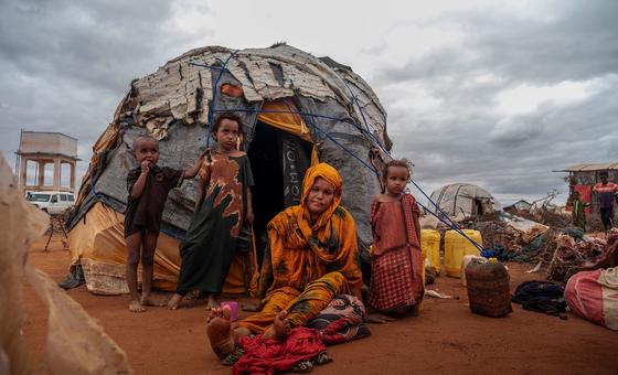 Battlefields to wastelands: UN warns conflicts are destroying ecosystems worldwide