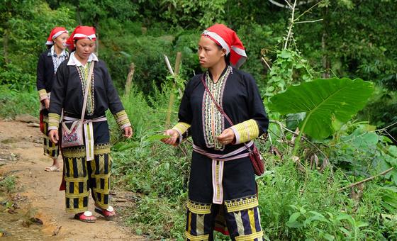 Can traditional medicine strengthen modern healthcare? An expert weighs in 