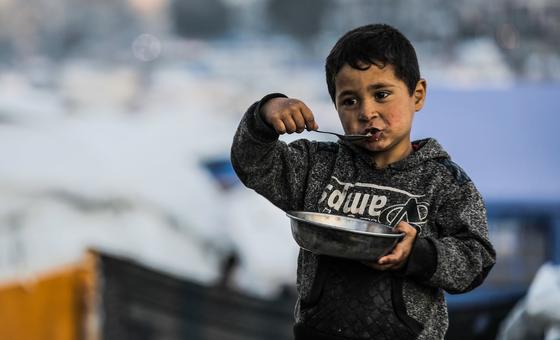 Gaza: Access to food improves but living conditions remain dire