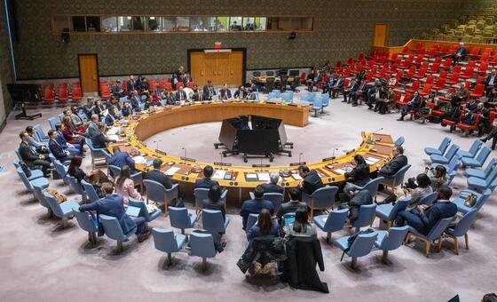 UN Security Council hears warnings over escalating US-Venezuela standoff
