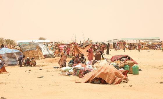 Sudan: UN warns of unprecedented child hunger in Darfur as fighting fuels refugee exodus