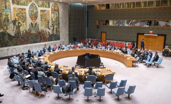 Ex-UN chief Ban warns Security Council risks irrelevance without reform