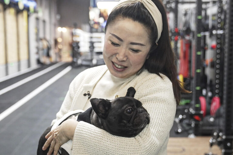 Babies out, fur babies in: Why young people in China are choosing pets over parenthood