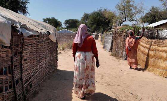 World News in Brief: IOM warning for Sudan returnees, Nipah virus alert for India, food security in Afghanistan