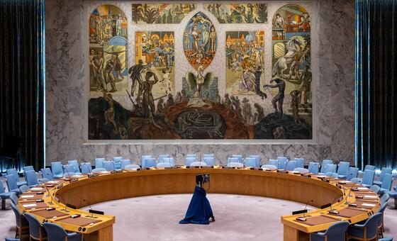 Security Council: New faces, old tensions as five nations take their seats