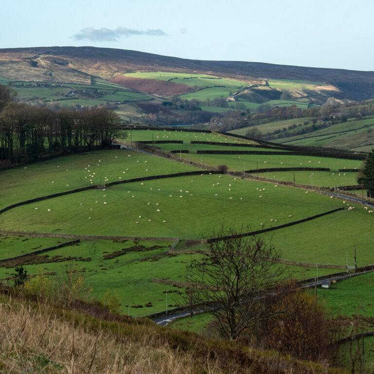 What Brontë Country Tells Us About Britain Today