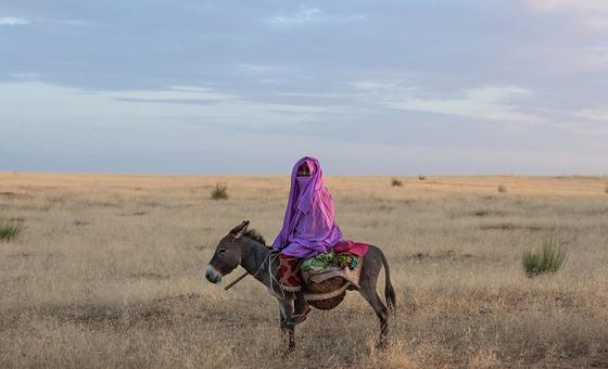 Over a billion fear losing land and homes within five years