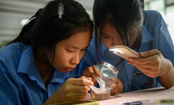 Women and girls in science: Dismantling barriers, closing gender gaps