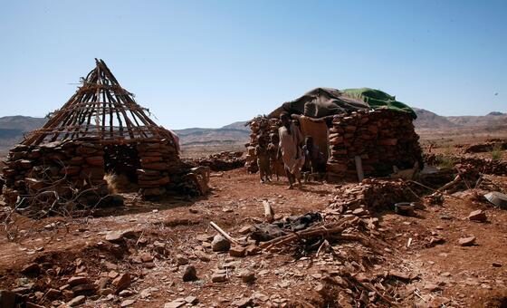 Sudan: ‘Hallmarks of genocide’ found in El Fasher, UN investigators detail mass killings and ethnic targeting