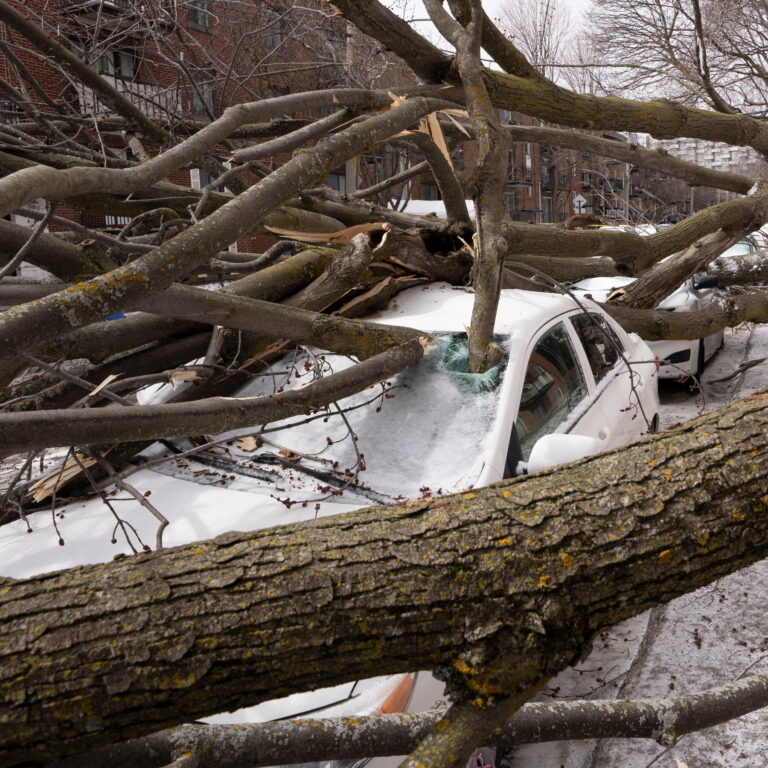 The Weather Is Getting Wilder, and Some See a Dire Signal in the Data