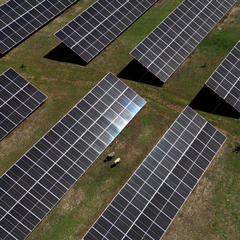 Spain Says the Sun Shields It From Rising Gas Costs. Is That True?