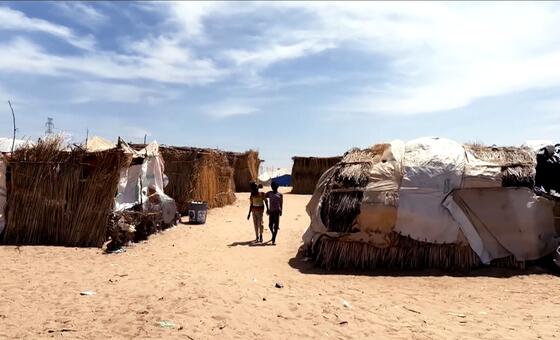 World News in Brief: Deadly drone strikes in Sudan, families killed in West Bank, Ukraine casualties update