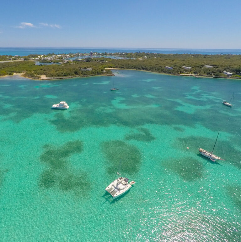 Man Is Arrested in Bahamas Days After Michigan Woman Goes Missing