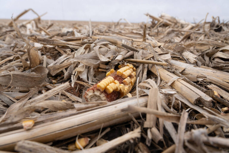 Is America on the cusp of a farm crisis?