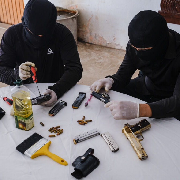 How a Drug Cartel Made a Mexican State Its Tool