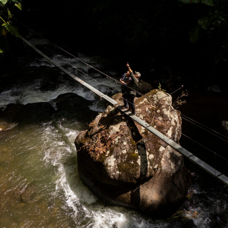 How Birding Apps Are Boosting Tourism in the World’s Top Bird Destination
