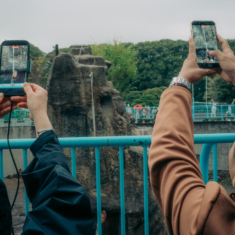 2 Americans Detained in Japan After Entering Punch the Monkey’s Zoo Enclosure