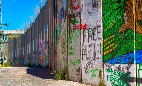 Palestine: Killings, destruction and settler encroachment continues
