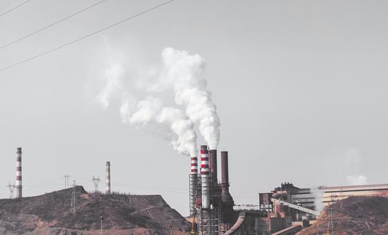 General Assembly backs historic World Court climate crisis ruling