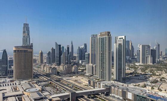 Security Council holds closed-door talks following attacks on United Arab Emirates