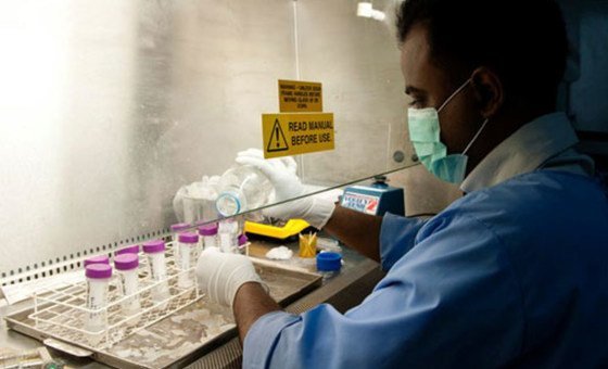 Wider hantavirus outbreak risk is ‘absolutely low’, insists UN health agency