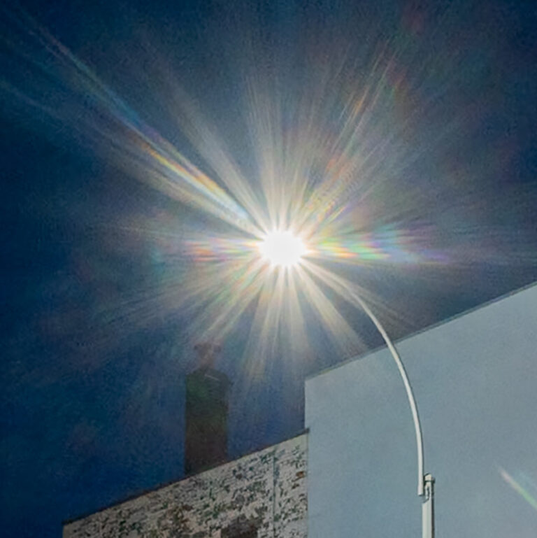 Urban Light Pollution Might Be Worsening Allergies