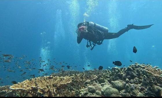 ‘The ocean has no boundaries’: Beauty and life in a war zone