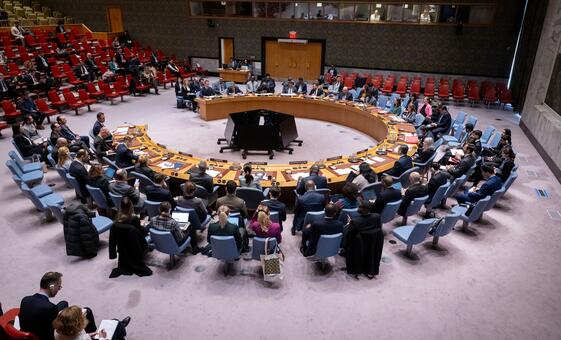 Security Council LIVE: Central Africa in the spotlight, including outlawed Lord's Resistance Army