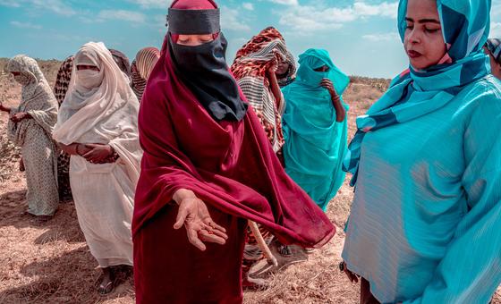 ‘Stop this madness’: Rights chief warns of impending atrocities as militia closes in on El Obeid, Sudan