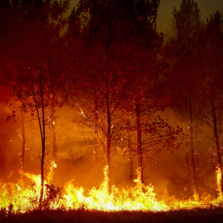 Wildfires Live Updates: Spain and France Fight to Contain Blazes as Extreme Heat Threatens New Fires