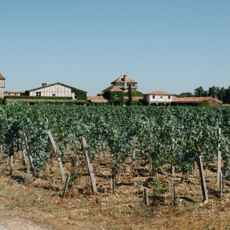 Fire Raging Near Bordeaux Brings More Bad News for Its Vineyards