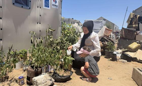 Reviving communities home by home in Gaza