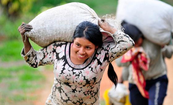 Colombia: Pockets of insecurity challenge ‘vibrant democracy’, Security Council told